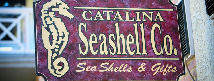 Seashell Co