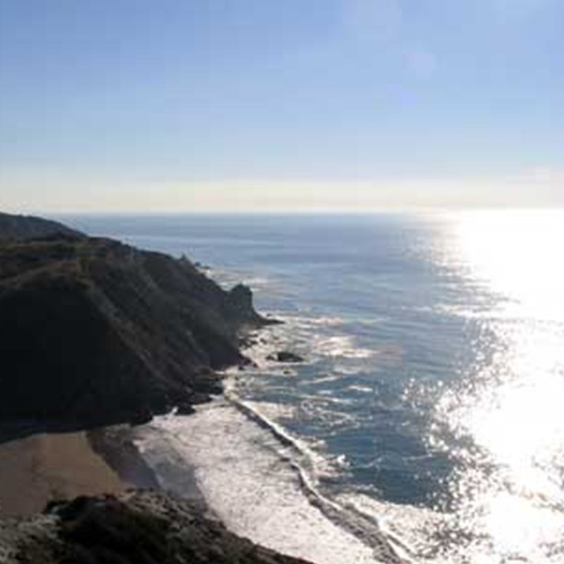 areial view Catalina Island