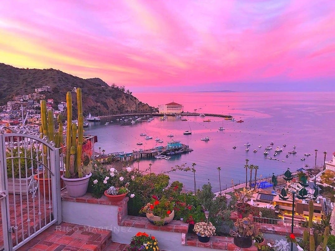 Top Events and Festivals on Catalina Island Fall 2019 | Hotel Metropole
